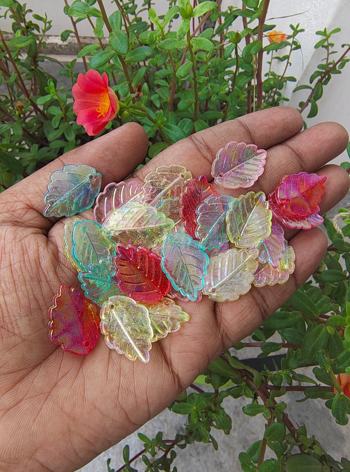 Mix colour transparent big leaf beads (AB2070)