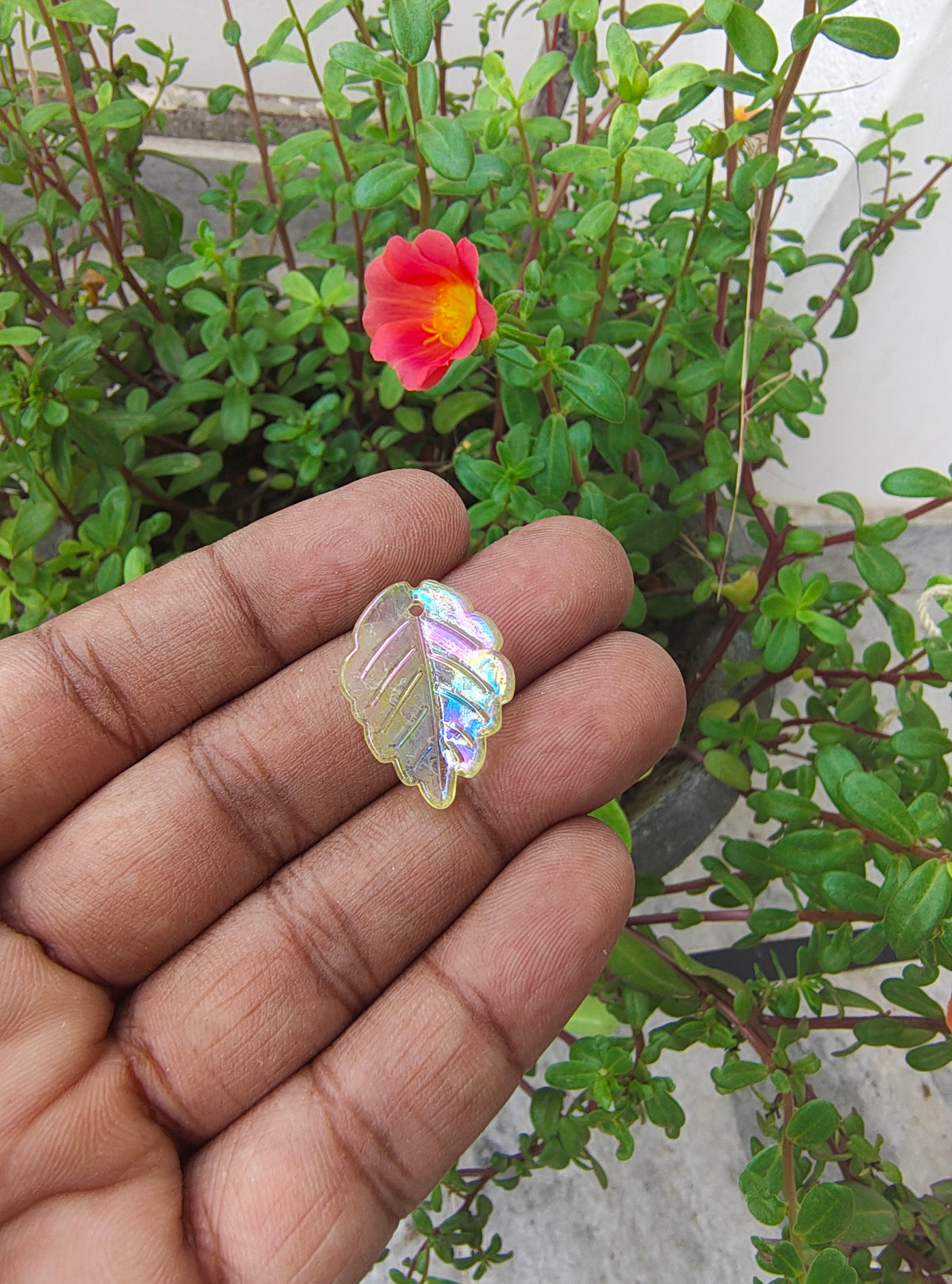 Mix colour transparent big leaf beads (AB2070)