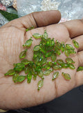 Small acrylic green leaf beads (AB2079)