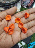 Orange glass big  tulip beads ( GB4026 )