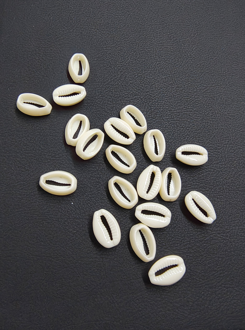 Acrylic cowrie