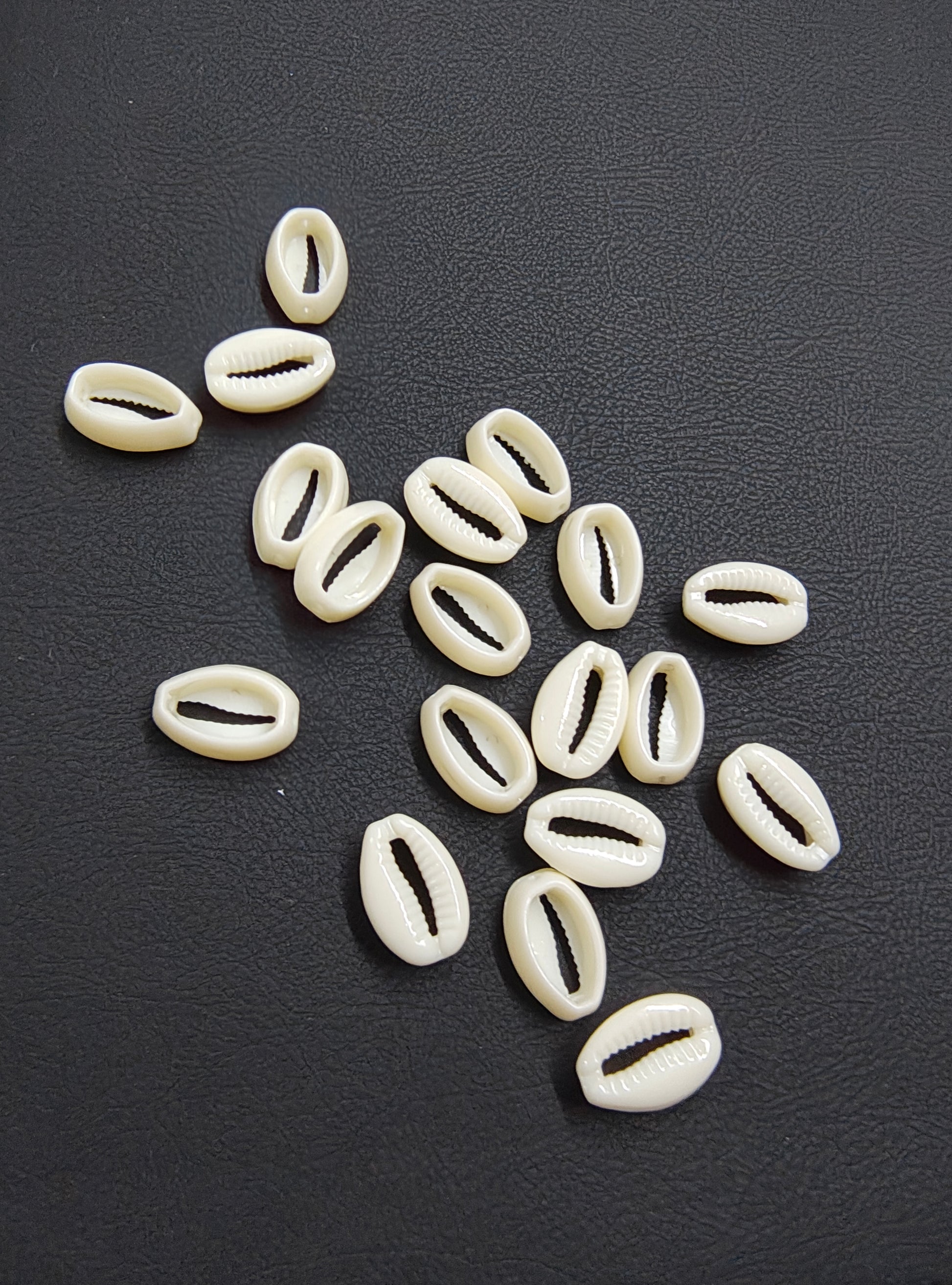 Acrylic cowrie