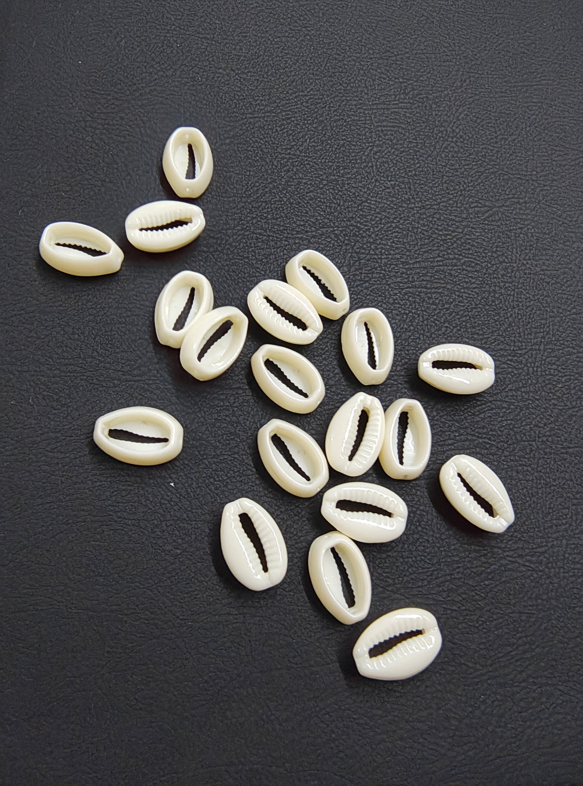 Acrylic cowrie (AB2132)