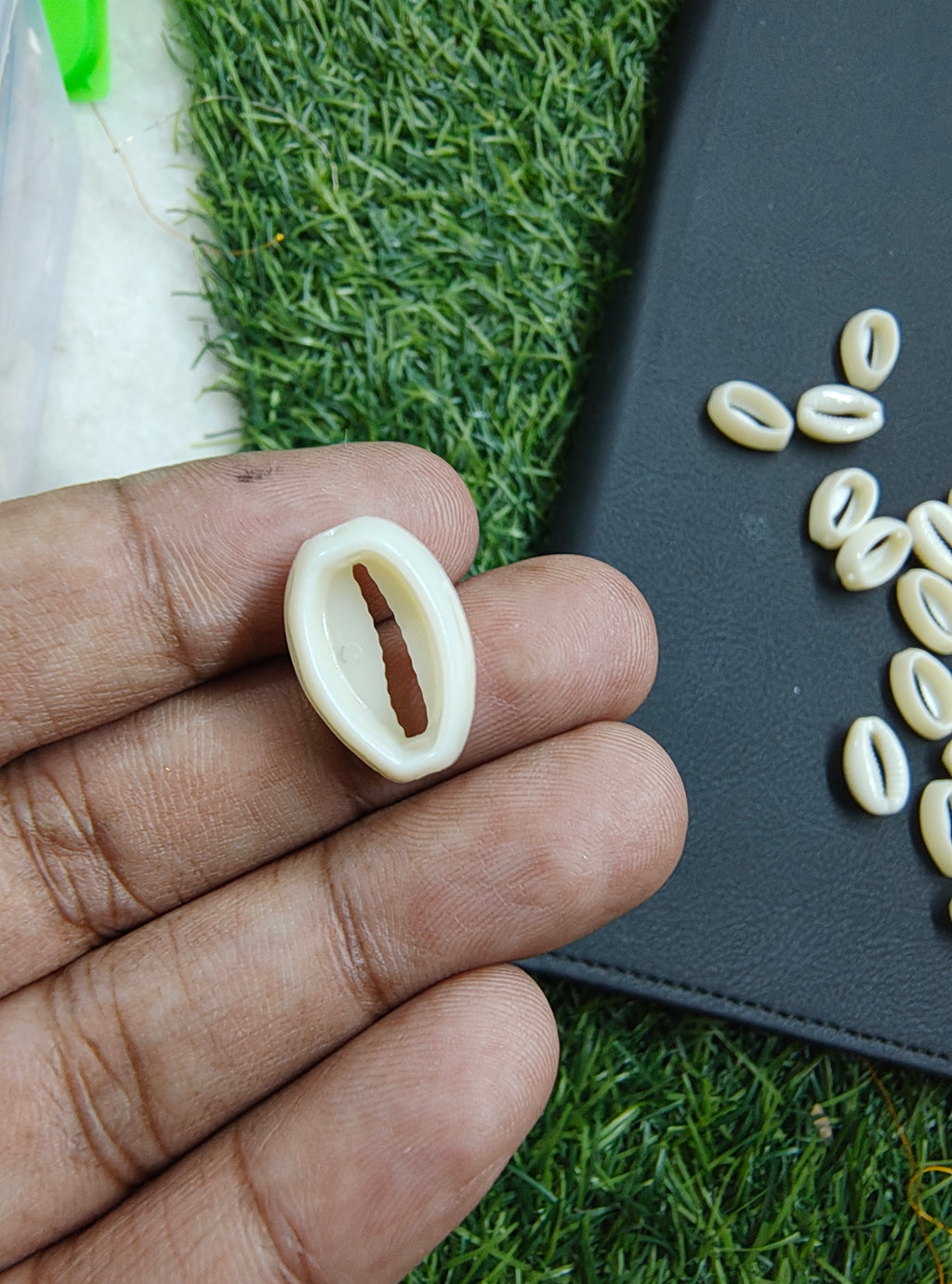 Acrylic cowrie