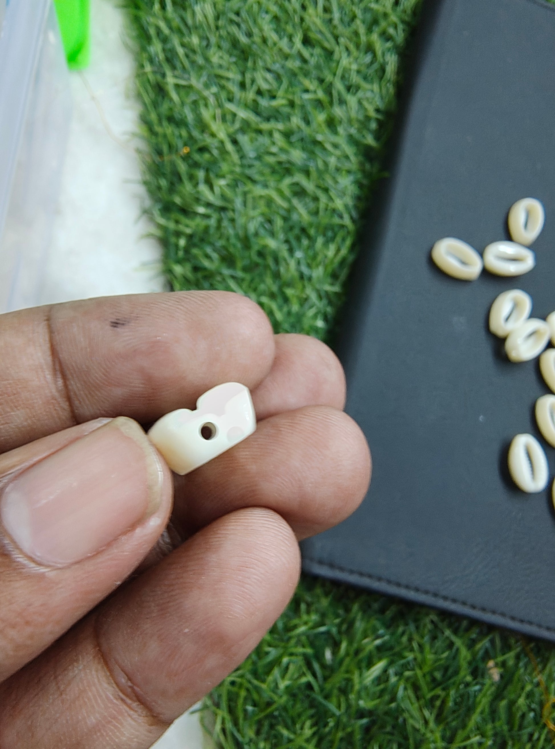 Acrylic cowrie