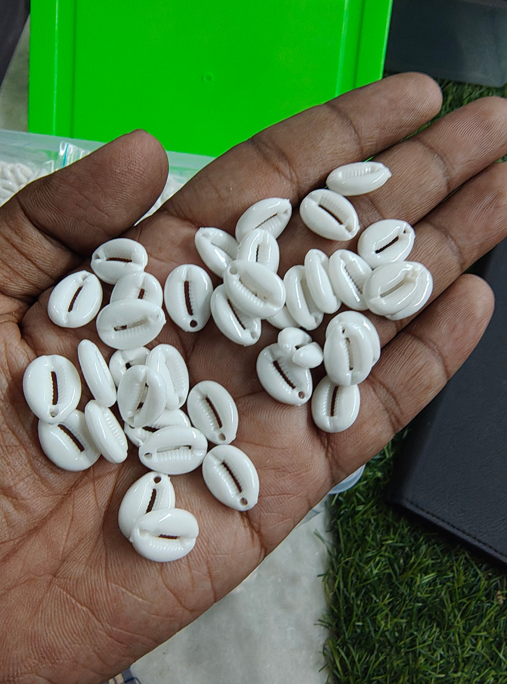 White acrylic cowrie
