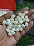 Oval shape acrylic pearl beads (APB3029)